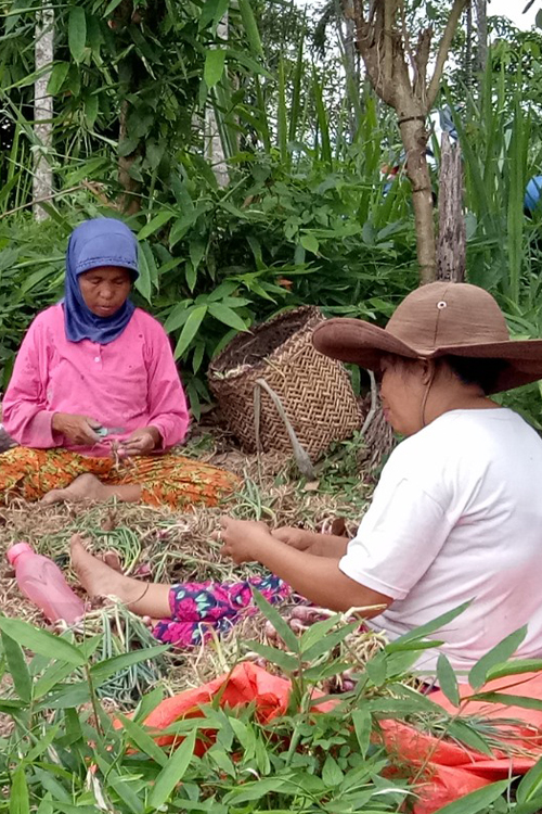 Tumbuh Bersama Petani 1