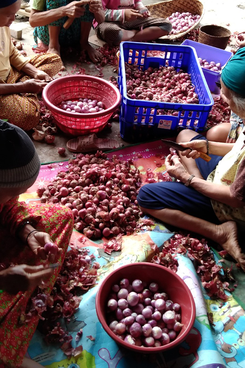 Tumbuh Bersama Petani 4